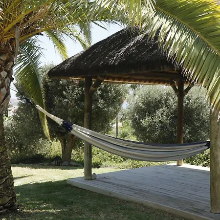Camachuelo Holiday
